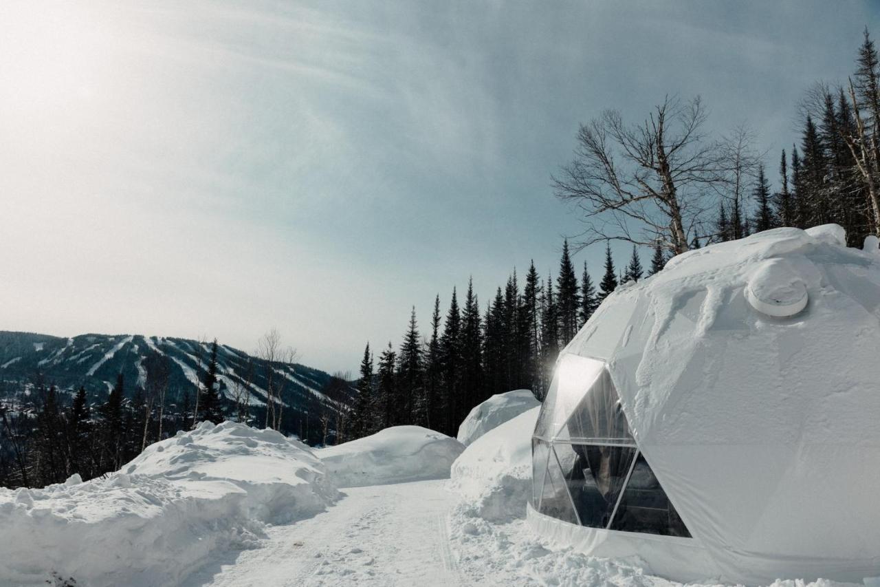 Apartamento Les diamants de l'éternel Saint-David-de-Falardeau Exterior foto