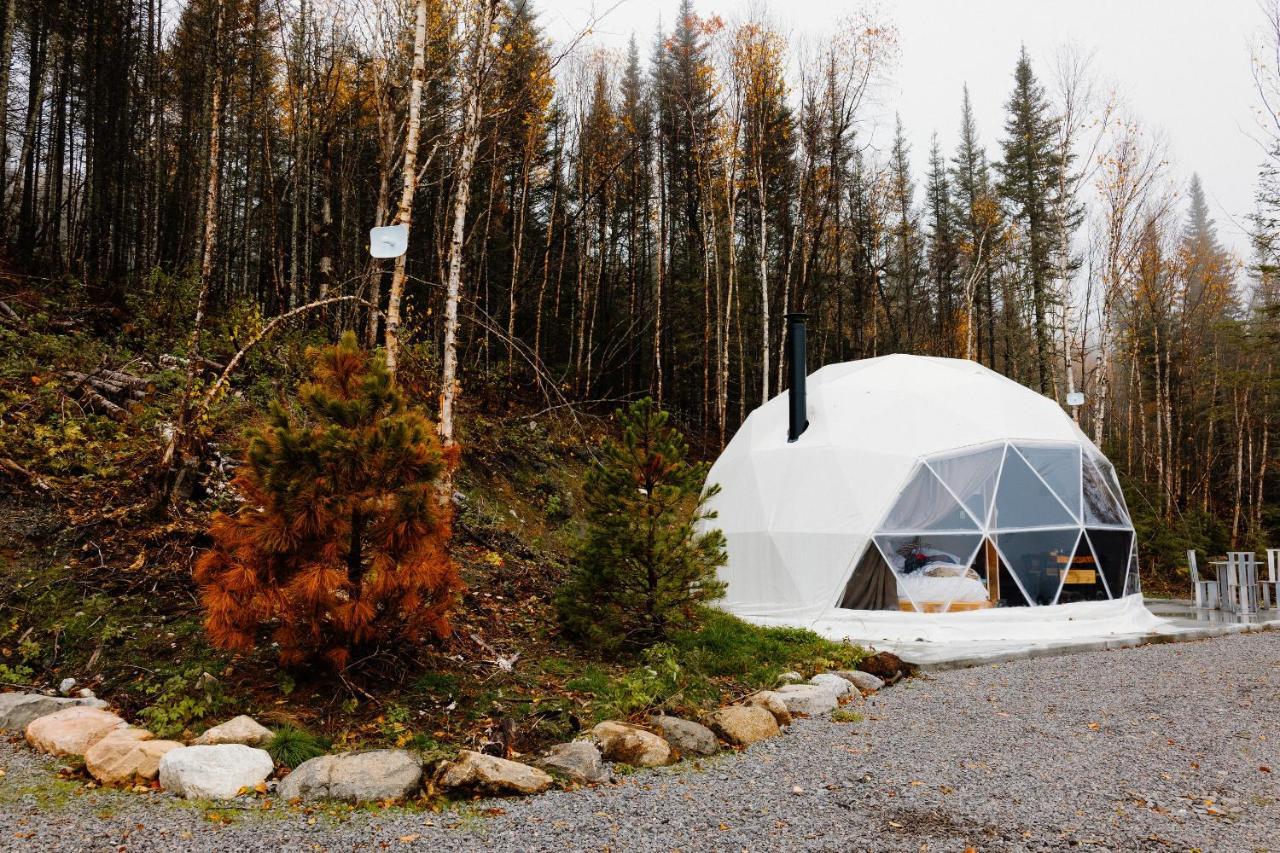 Apartamento Les diamants de l'éternel Saint-David-de-Falardeau Exterior foto